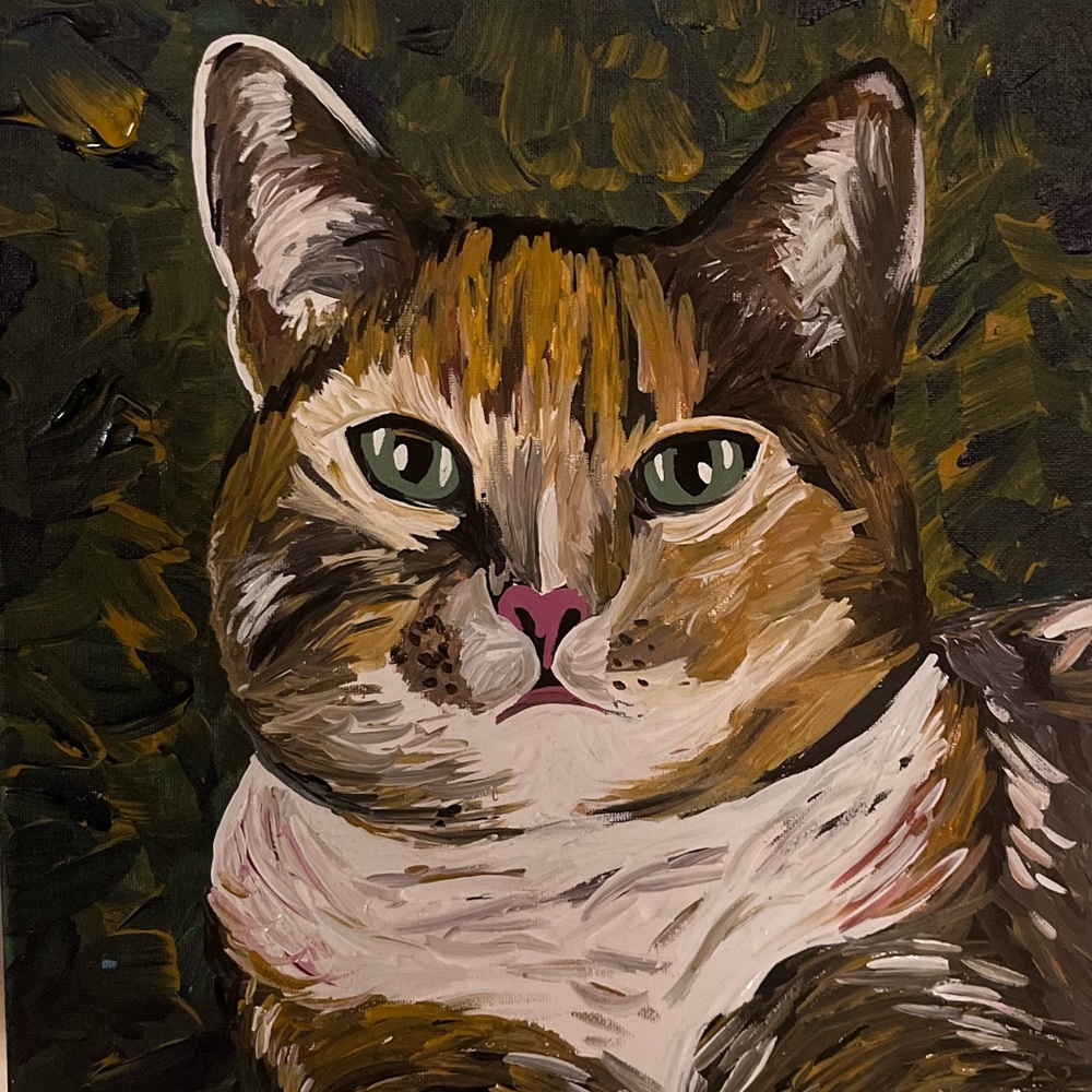 Meet your Posher, Shelby